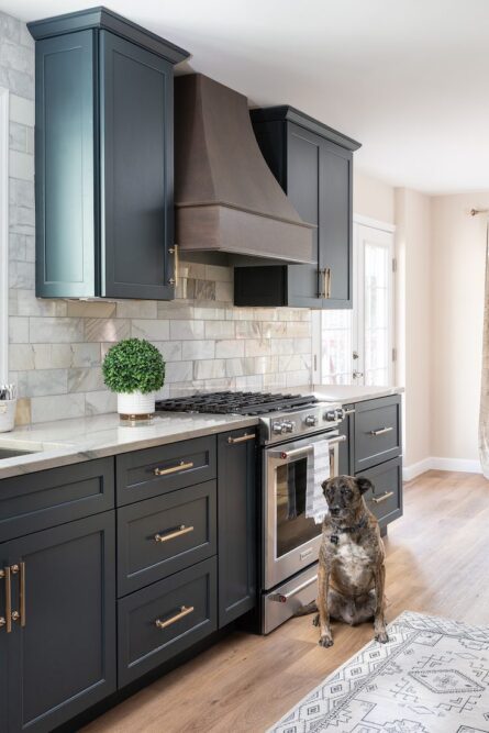 Photo of a kitchen renovation project in Reston VA